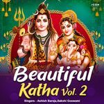 Beautiful Katha Vol. 2 - Ashish Bareja Song Download